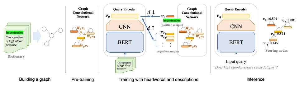 Dictionary graph construction, GNN pre-training, query encoder training, and jargon-word inference.